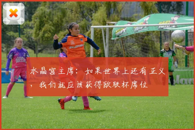 水晶宫主席：如果世界上还有正义，我们就应该获得欧联杯席位