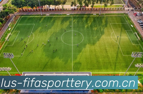 FIFA 官方数据授权认证